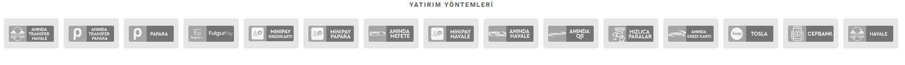 siyahbet finans yöntemleri